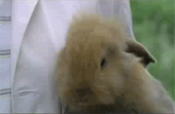 Happy Easter 