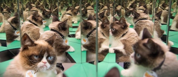 No one is invited to my club. If you want to be an exclusive club member, then sign up for Cat Clubhouse. You’ll get exclusive...