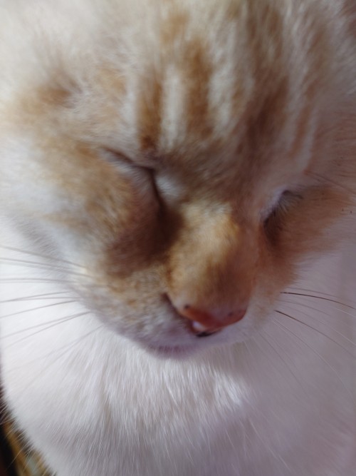 こういうカオのときの　オレのあんよは…