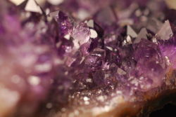 ethereal-of-the-night:  Amethyst Garden by