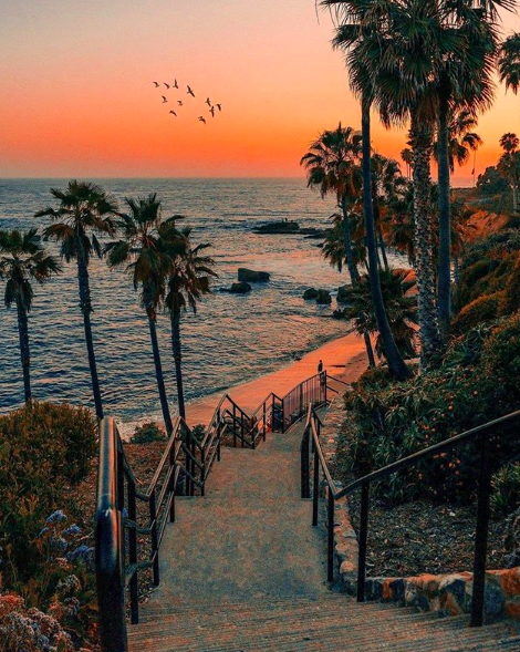 wildandlux:  Laguna Beach via instagram