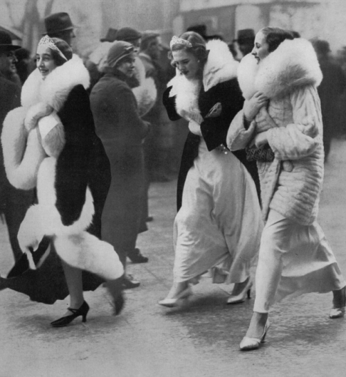 yesterdaysprint:Lady Birkenhead, Lady Pamela Smith and Lady Jersey attending the State Opening of Pa