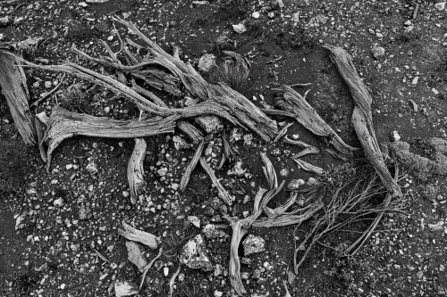 Sticks & Stones Bighorn Canyon, WY.