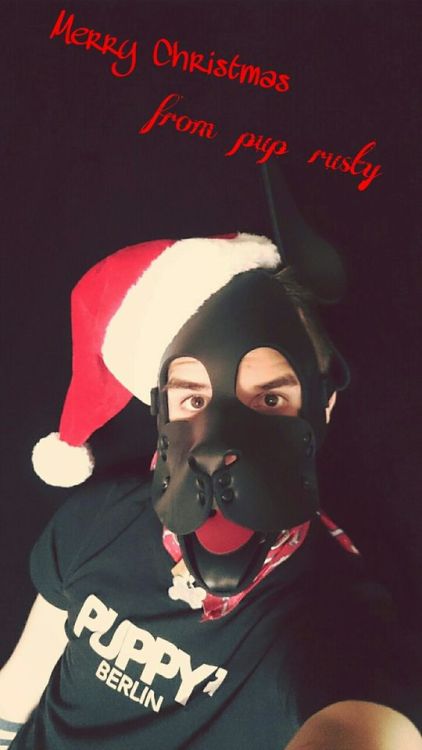 puprusty:  Merry christmas *woof* from rusty. Enjoy your day with your family and friends. /// Fröhliche weihnachten von rusty .. Geniesst die zeit mit familie und freunde.. 