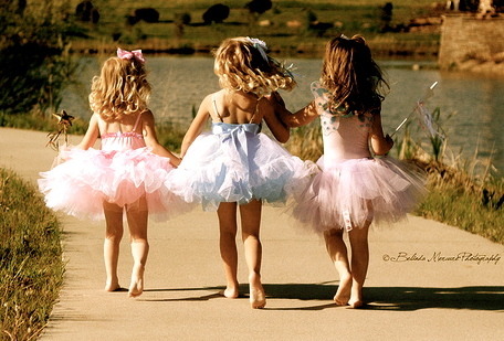 lovelythings-xoxo:  daisies are like sunshine to the ground ☀ on We Heart It. http://weheartit.com/entry/6298219/via/AmzieElise