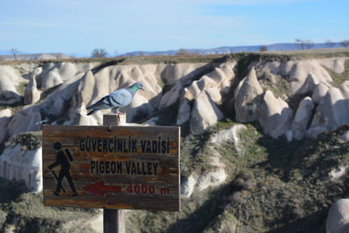 hiphopocliedes:  Goreme, Cappadocia