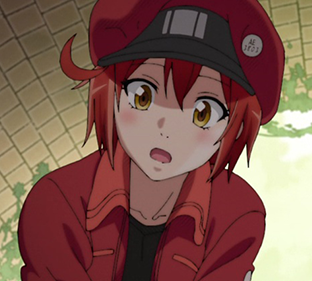 ⎆┊AE3803 Red Blood Cell ⎙  Blood cells, Work icon, Anime icons