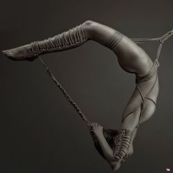 Shibari Smart