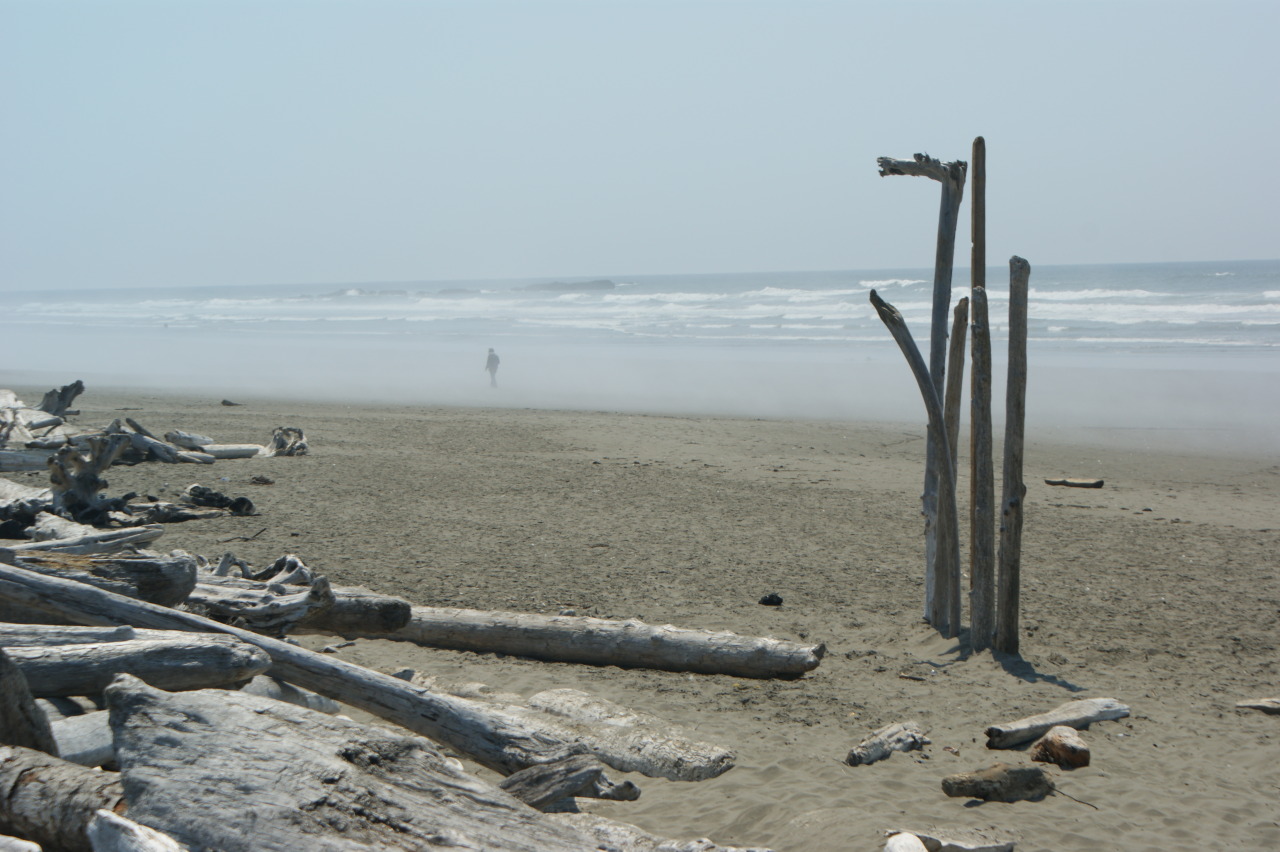 frommylimitedtravels: Kalaloch Beach - Olympic National Park   Love going out here