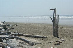 frommylimitedtravels: Kalaloch Beach - Olympic