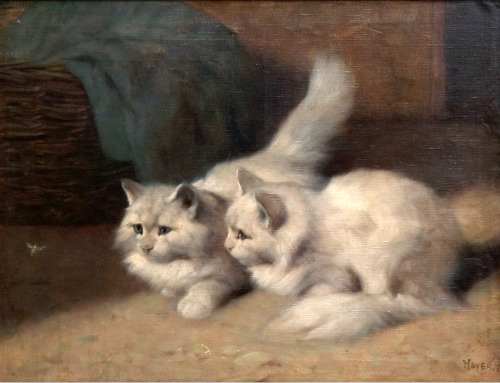 Arthur Heyer (German-Hungarian 1872-1931) is known for his paintings of cats, in particular white An