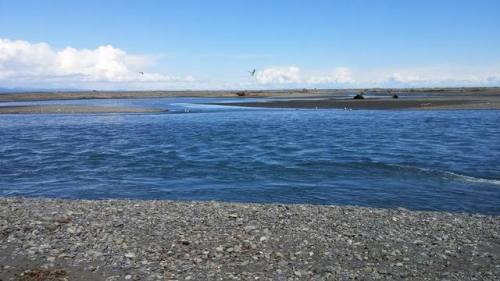 dollar-bin-jazz:Geology fun day on the Olympic Peninsula.