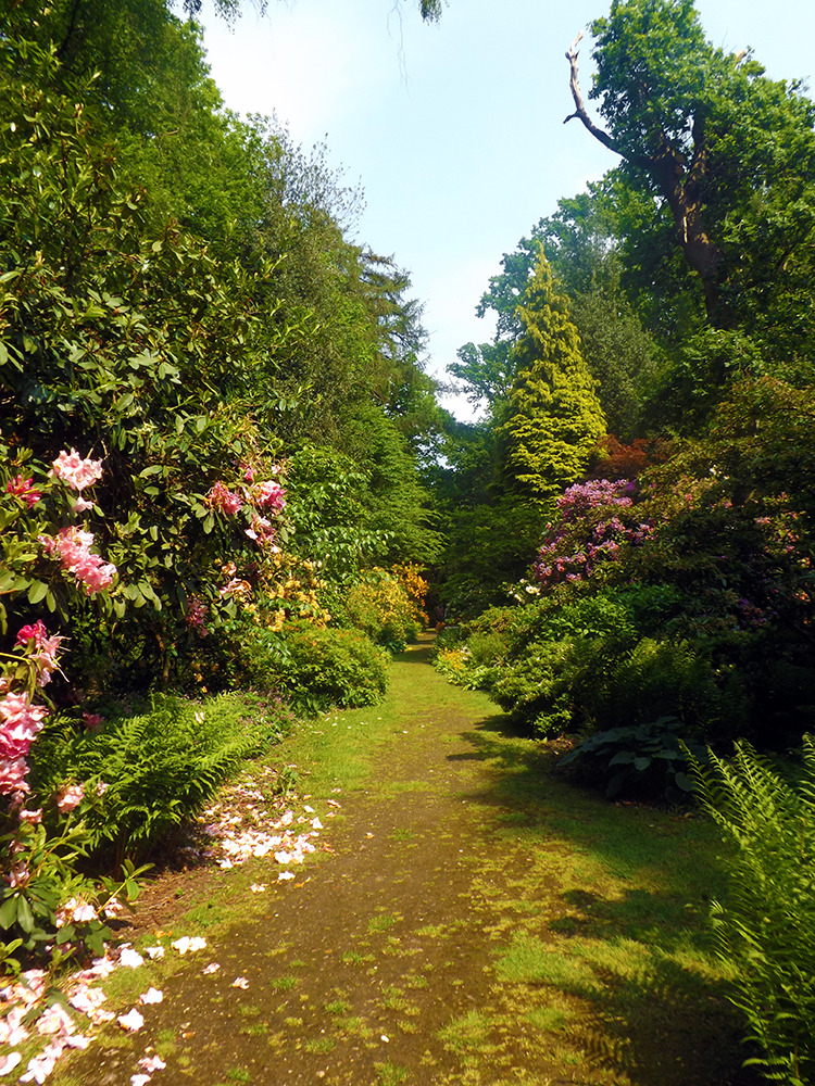 Doddington Place Gardens