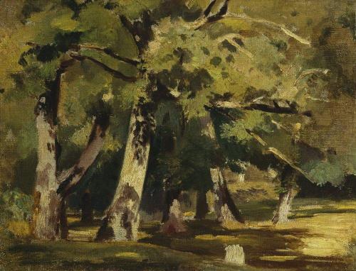 ivan-shishkin:Oaks in sunlight, Ivan Shishkin