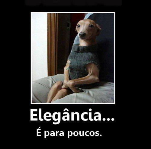 Eu comento em tags para não estragar o post