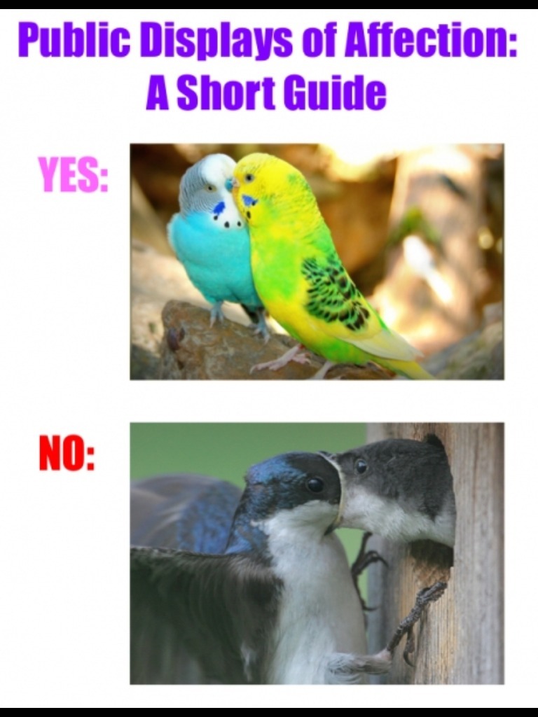 First memes