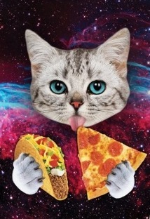 Pizza Cat