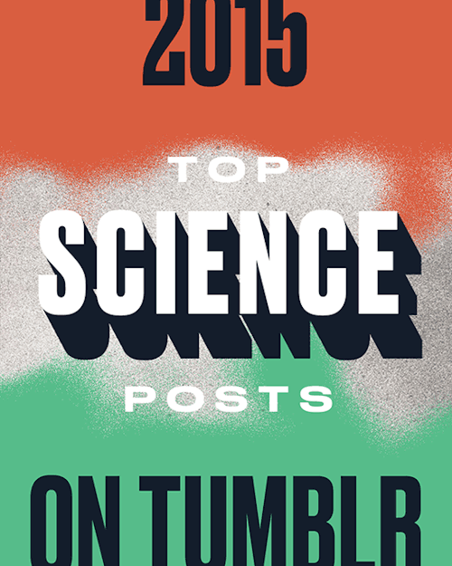Top Posts: ScienceWe&rsquo;ve created a controlled environment to conduct an experiment in blowi