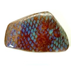 gorgeousgeology:After huge popularity fossilized crab claw, this is a piece of opalised snake skin i