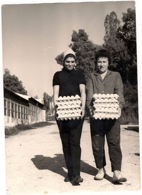 We are a few girls with a lot of balls Caption under photo of kibbutz Lehavot HaBashan.