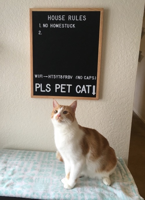audible-smiles:so I got a letterboard 