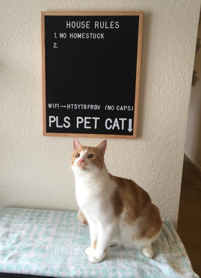 audible-smiles:so I got a letterboard 