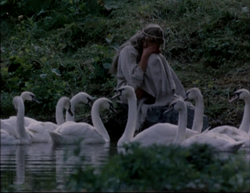 The Wild Swans, 1987, Helle Karis