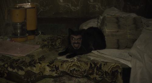 What We Do in the Shadows (2014)Director: Jemaine Clement, Taika Waititi DOP: Richard Bluck, D.J. St