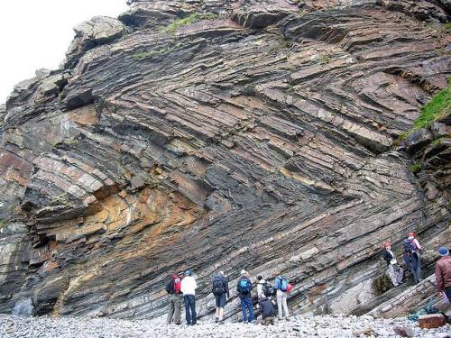 ggeology: Recumbent fold // Milhook Haven, Cornwall, England, UK