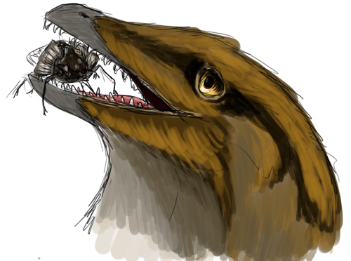 Doodling dinosaurs before bed. Above, a startled troodontid raises her hackles, exposing the white f