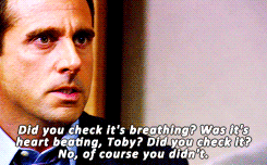 dundermifflinscranton