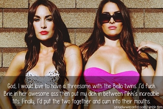 Fucking Of Bella Twins