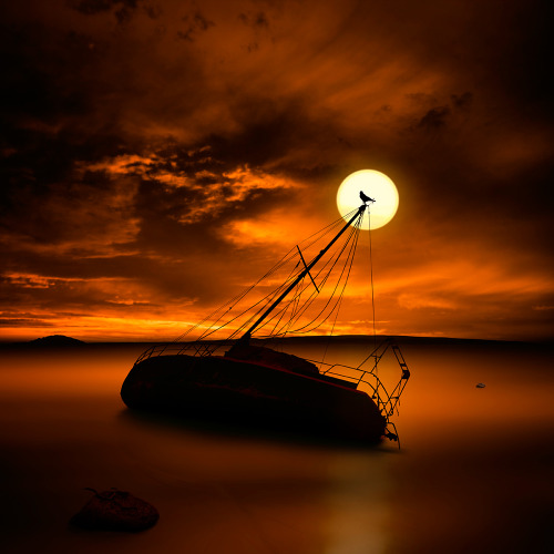 bidyke:  cherylisrad:  sosuperawesome:  Caras Ionut  Pretty sure I reblogged these before.. but they’re so amazing i have to do it again.  Romanticism much? 
