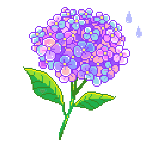 pretty-things:  all the hydrangeas are out where i live &amp; it’s very pretty