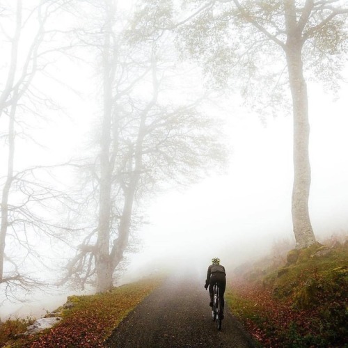 youcantbuyland: #Repost @velocioapparel ・・・ Ride through it. Photo: @jeredgruber