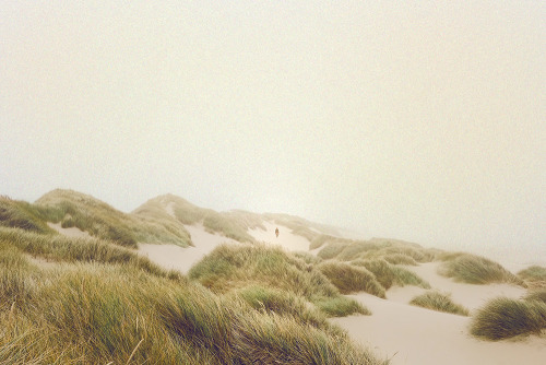aubreylstallard:  Randy P. Martin 