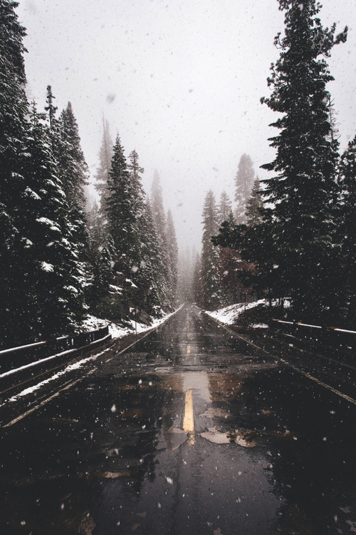 mygloomysunday:  (1) Tumblr sur We Heart It.