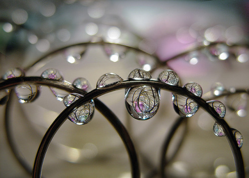 forbiddenforrest:Hanging droplets by Dragan* on Flickr.