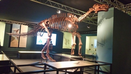 paambtomaquet:Dinosaurs at Museum of science, Valencia, Spain