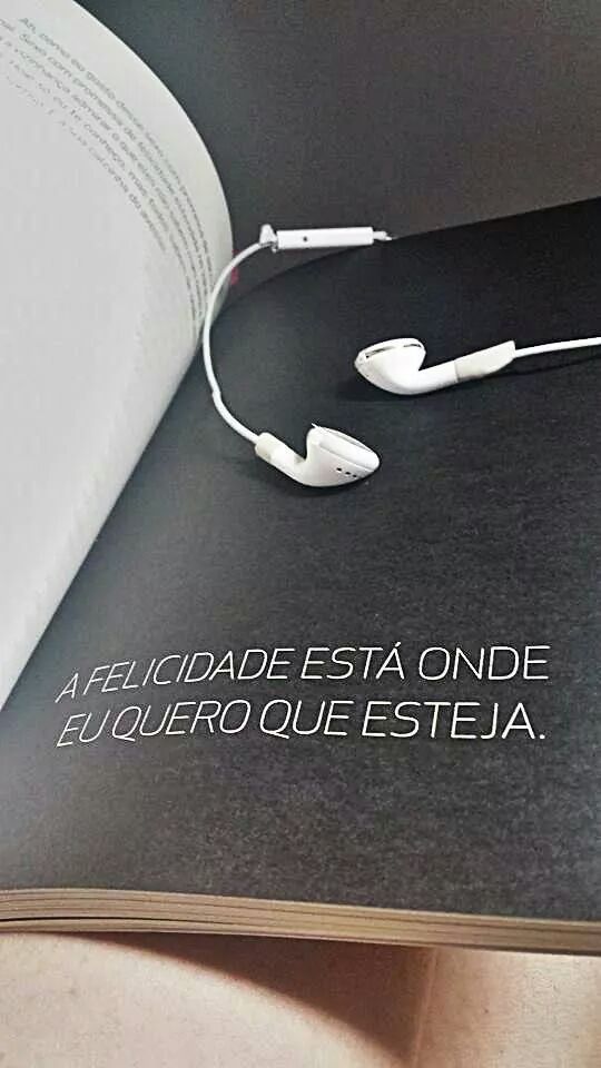 O Último Voo