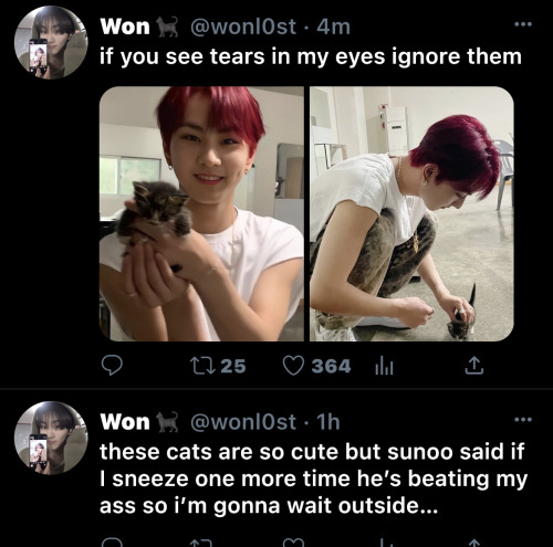 PART FOUR : Which One Is The Real Cat ?