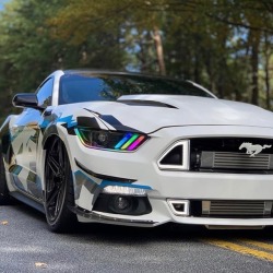 musclefords:  #ford#Mustang#SVT tag–&gt; #American_muscle_mustangs / owner @chasekim5.0 / standing out from the crowd https://www.instagram.com/p/BsQu_WIl0C5/?utm_source=ig_tumblr_share&amp;igshid=18gxnzvfhsruo