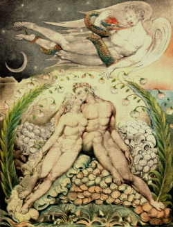 Magictransistor:  William Blake. Illustrations For Milton’s Lost In Paradise. Books