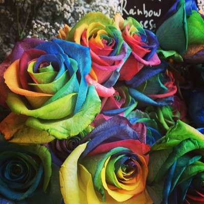 So beautiful ! Rainbow Rose :) #rainbow #rose #rainbowrose #flower #colorful #cooler #beautiful #lover #love #dream