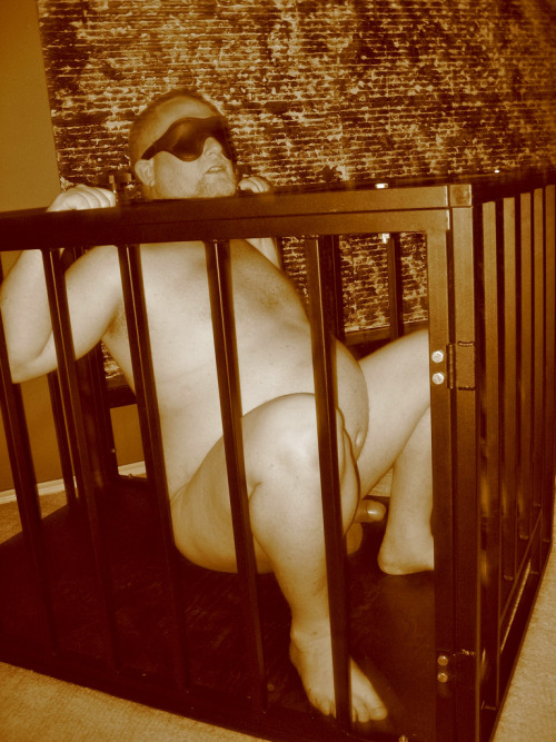 humiliationbear: displayed naked for partygoers