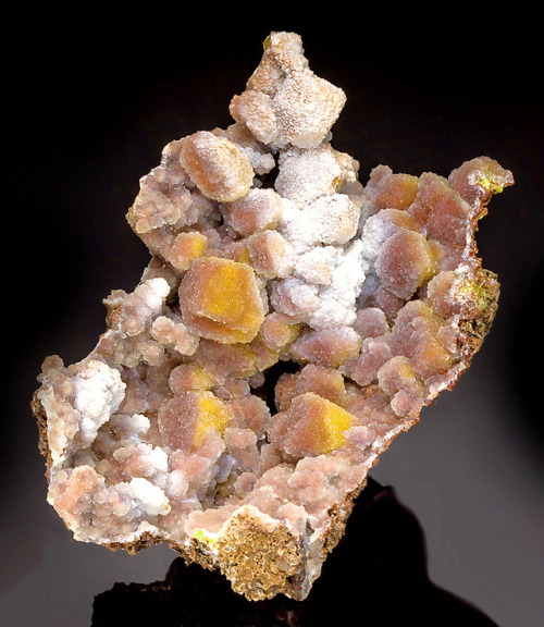 hematitehearts:Beautiful example from a recent find of Quartz ps after Wulfenite crystalsLocality: K