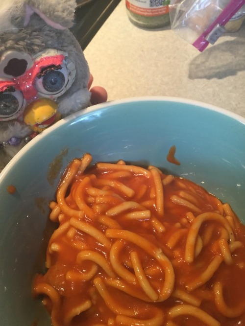 furbiis:one whole chef boyardee