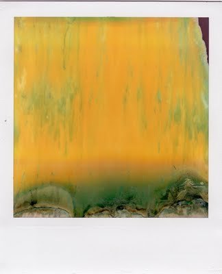 cyberwave:  Bill Miller, Ruined Polaroids 
