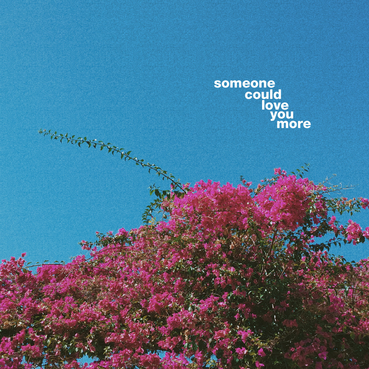 sunnieblues:so what are you waiting for?