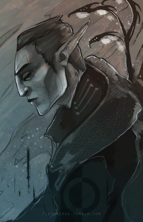 fleshwerks:A shitload of canon elves I’ve drawn over time. From left to right,  Tamlen, F